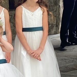 Flower Girl/Special Occasion Dress